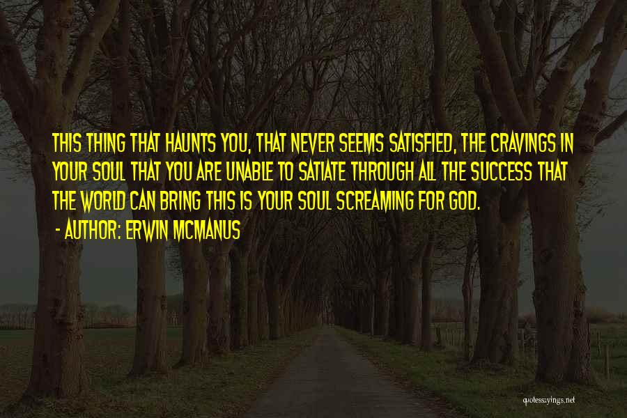 Cravings Satisfied Quotes By Erwin McManus