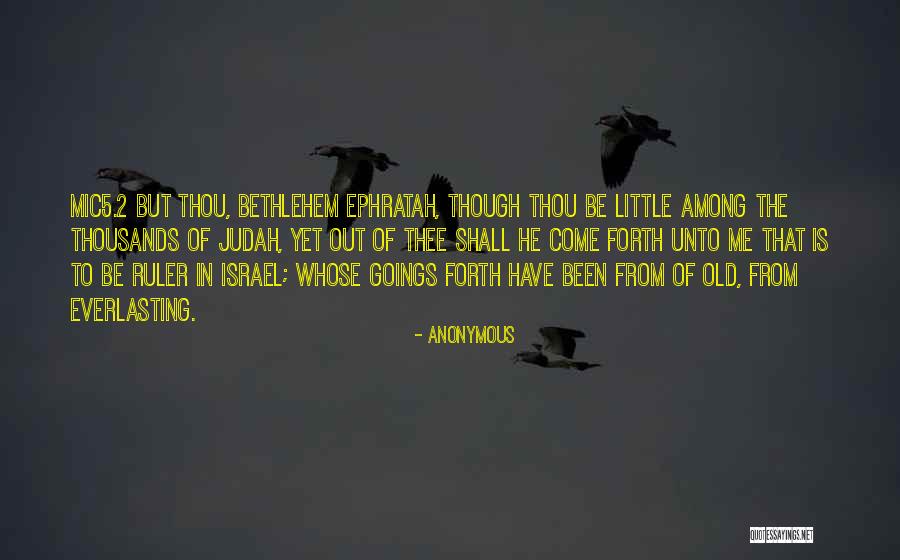 Crawdads Book Quotes By Anonymous Crawdads Book Quotes By Anonymous