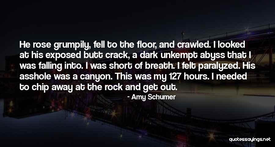 Crawled Quotes By Amy Schumer Crawled Quotes By Amy Schumer