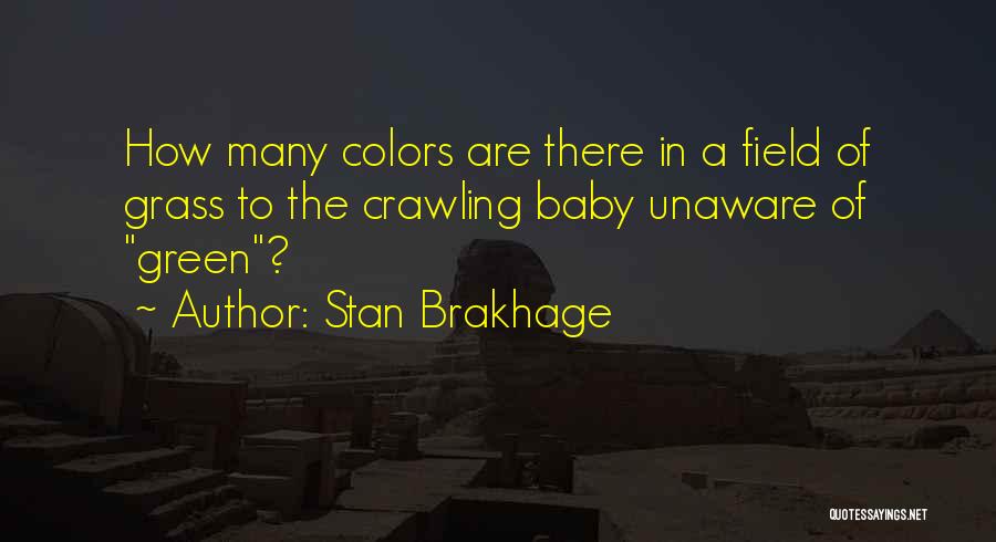 Crawling Baby Quotes By Stan Brakhage