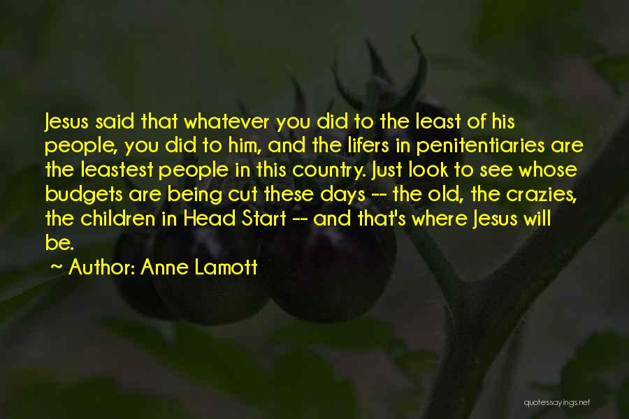 Crazies Quotes By Anne Lamott
