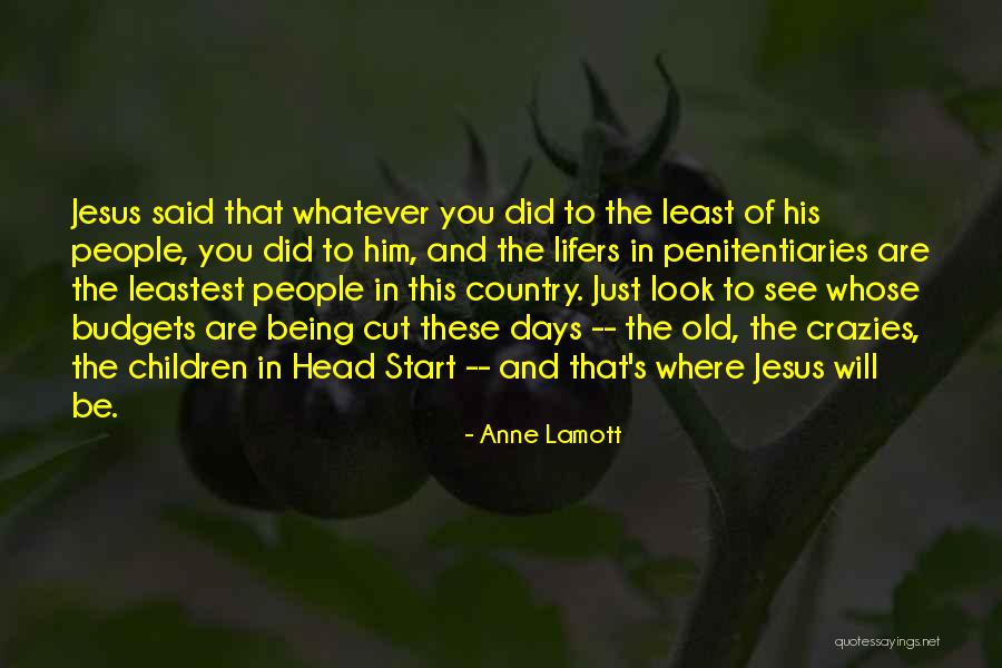 Crazies Quotes By Anne Lamott