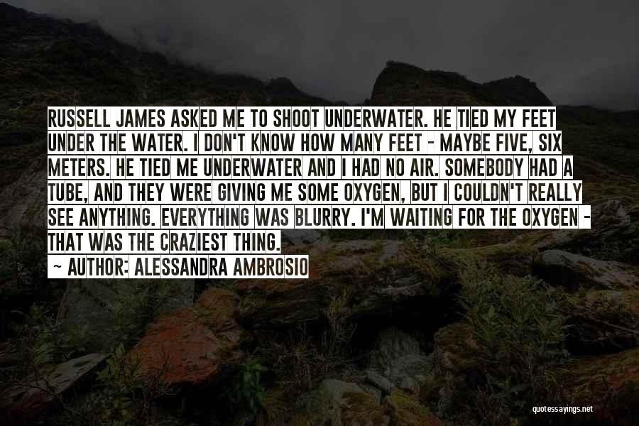 Craziest Quotes By Alessandra Ambrosio