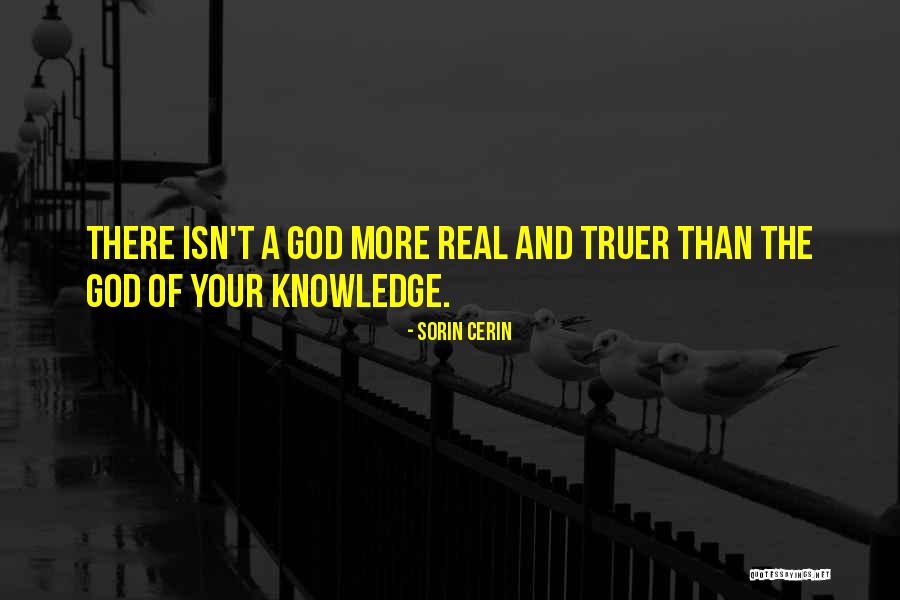 Craziest World Quotes By Sorin Cerin Craziest World Quotes By Sorin Cerin