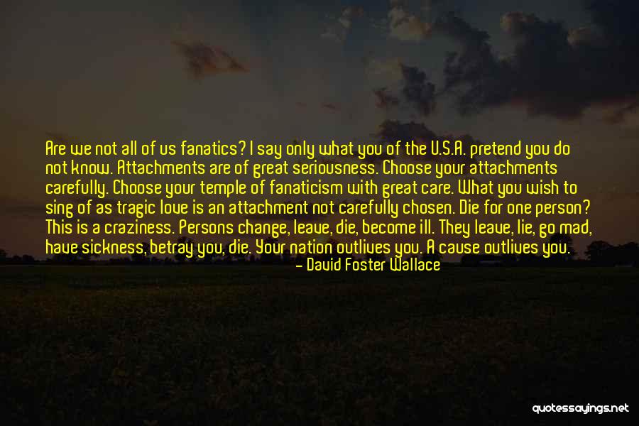 Craziness In Love Quotes By David Foster Wallace