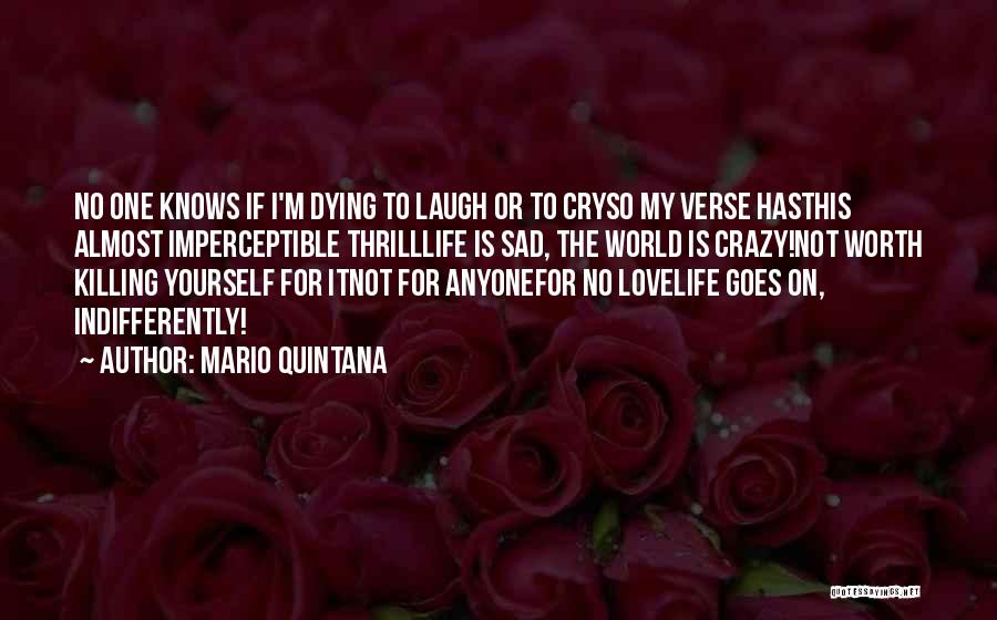 Craziness Love Quotes By Mario Quintana