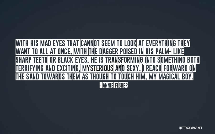 Crazy Boy Quotes By Annie Fisher Crazy Boy Quotes By Annie Fisher