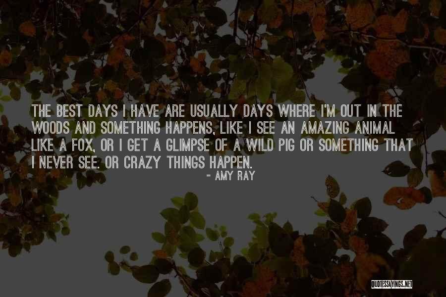 Crazy But Amazing Quotes By Amy Ray