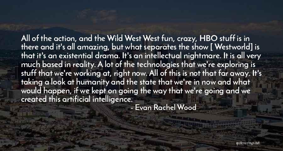 Crazy But Amazing Quotes By Evan Rachel Wood