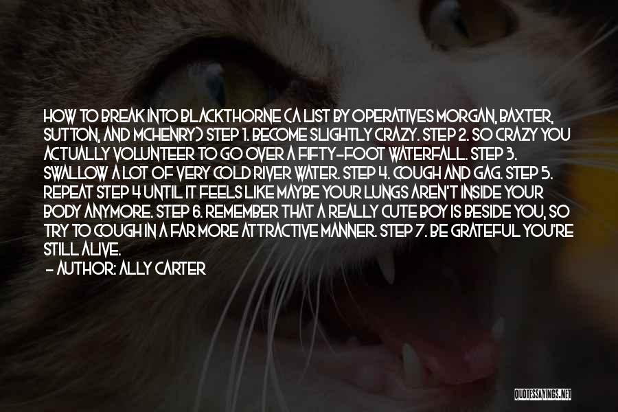 Crazy But Cute Quotes By Ally Carter