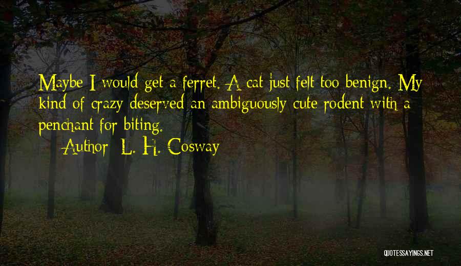 Crazy But Cute Quotes By L. H. Cosway