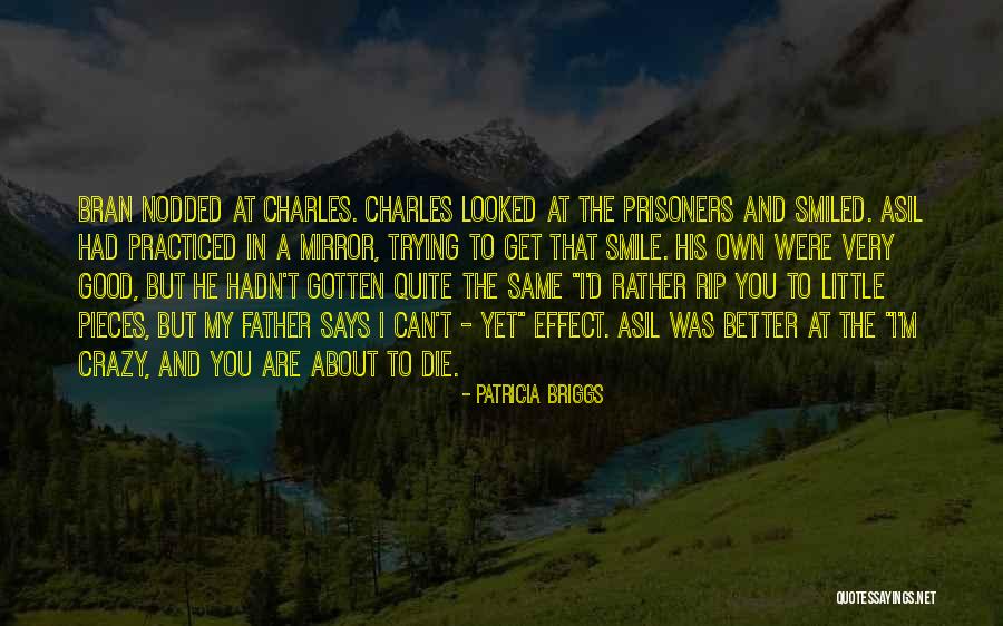 Crazy But Good Quotes By Patricia Briggs Crazy But Good Quotes By Patricia Briggs