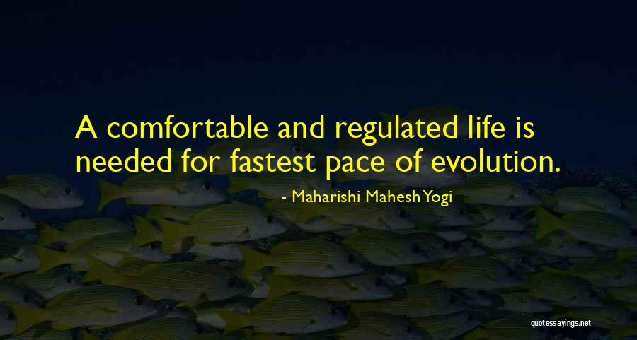 Crazy But Lovable Quotes By Maharishi Mahesh Yogi Crazy But Lovable Quotes By Maharishi Mahesh Yogi