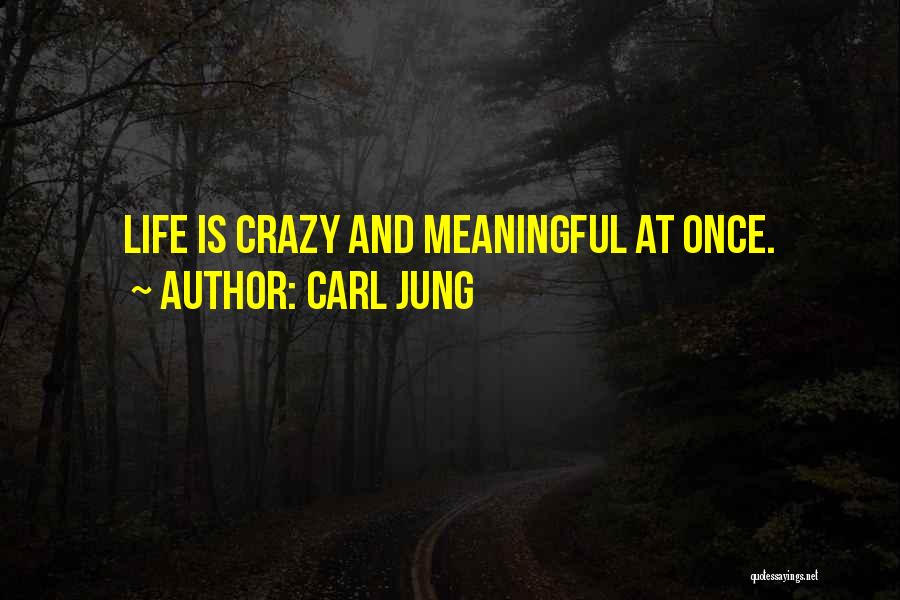 Crazy But Meaningful Quotes By Carl Jung