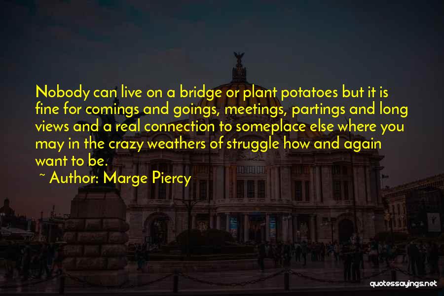 Crazy But Real Quotes By Marge Piercy