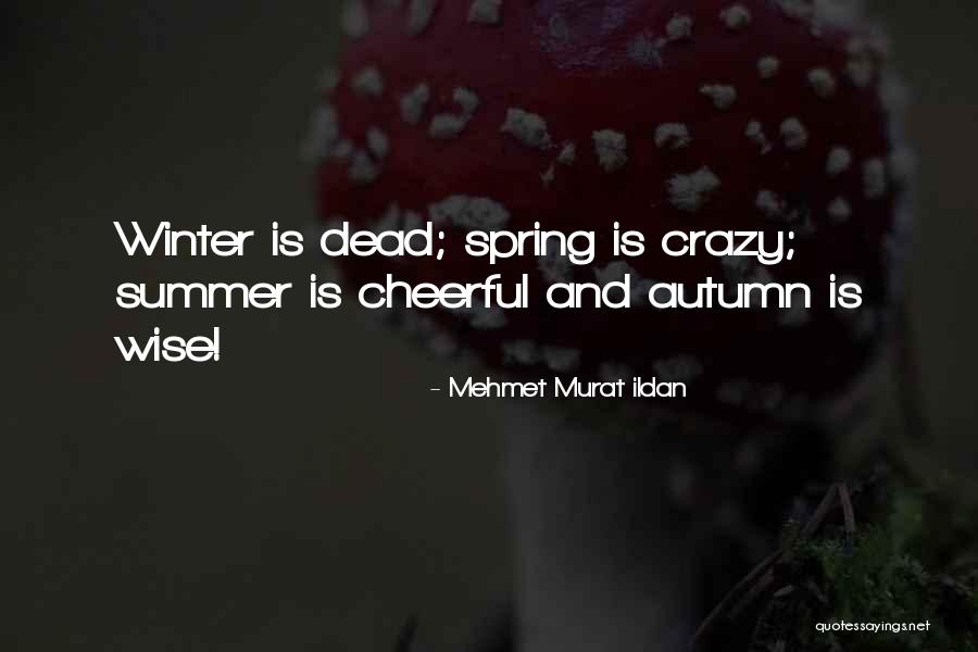 Crazy But Wise Quotes By Mehmet Murat Ildan