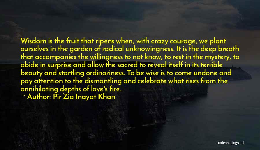 Crazy But Wise Quotes By Pir Zia Inayat Khan