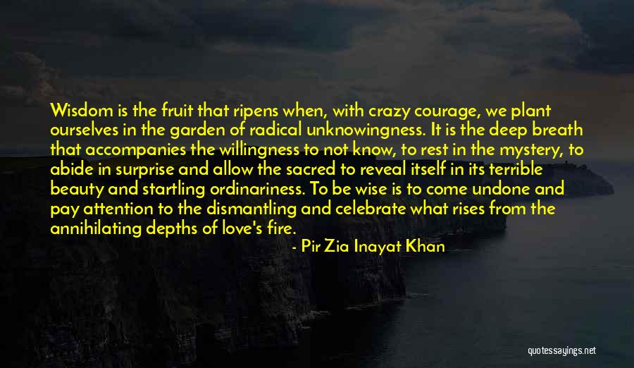 Crazy But Wise Quotes By Pir Zia Inayat Khan