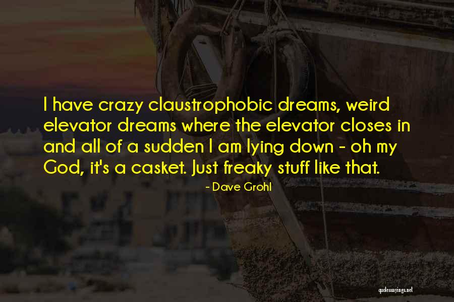 Crazy Dreams Quotes By Dave Grohl Crazy Dreams Quotes By Dave Grohl