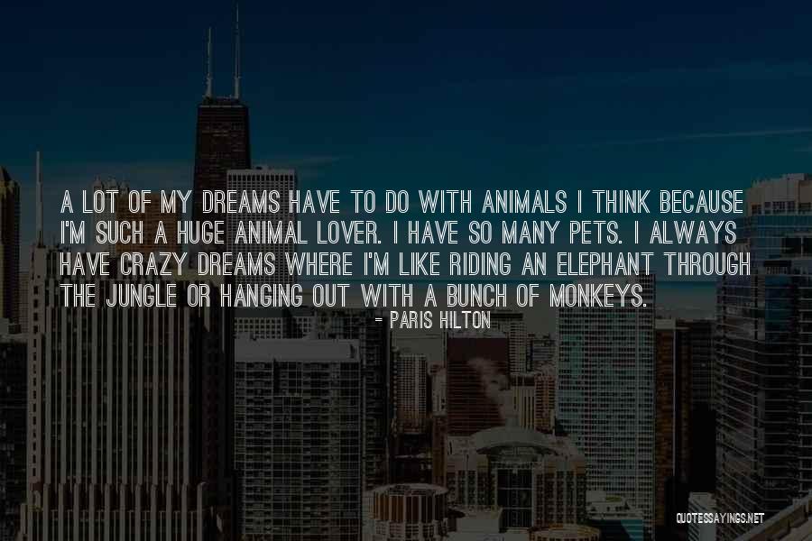 Crazy Dreams Quotes By Paris Hilton Crazy Dreams Quotes By Paris Hilton