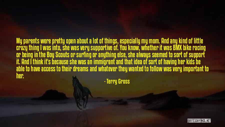 Crazy Dreams Quotes By Terry Gross Crazy Dreams Quotes By Terry Gross
