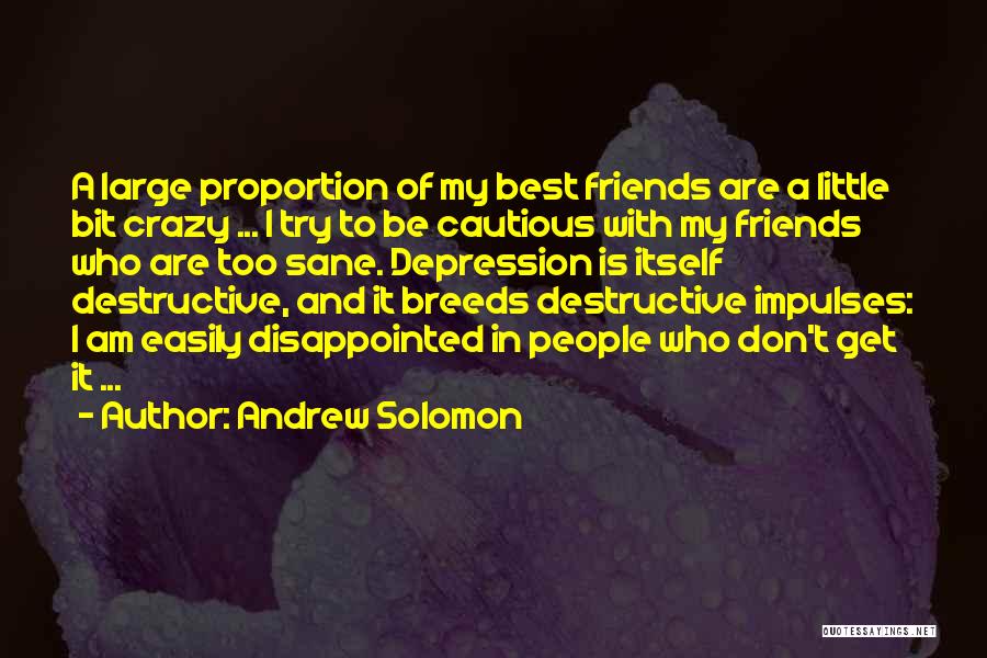 Crazy Friends Quotes By Andrew Solomon