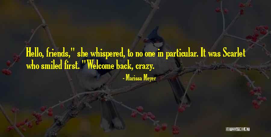 Crazy Friends Quotes By Marissa Meyer