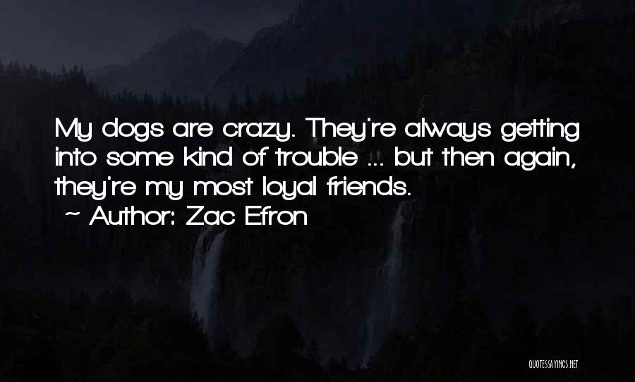 Crazy Friends Quotes By Zac Efron