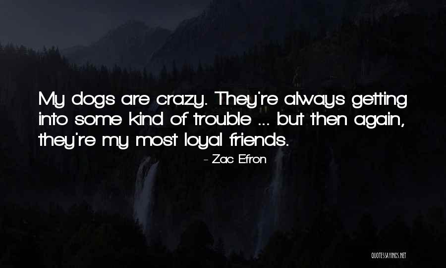 Crazy Friends Quotes By Zac Efron