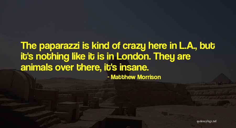 Crazy Insane Quotes By Matthew Morrison Crazy Insane Quotes By Matthew Morrison