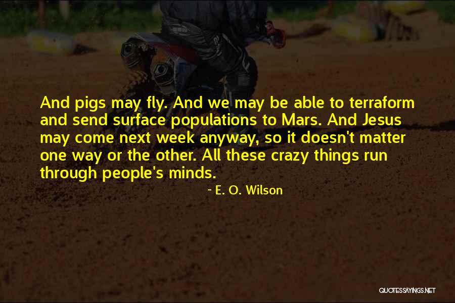 Crazy Minds Quotes By E. O. Wilson