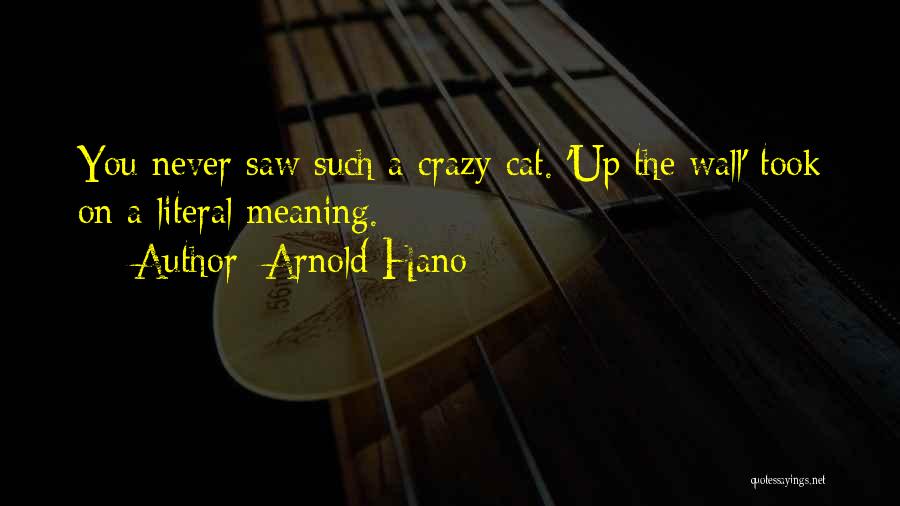 Crazy Off The Wall Quotes By Arnold Hano