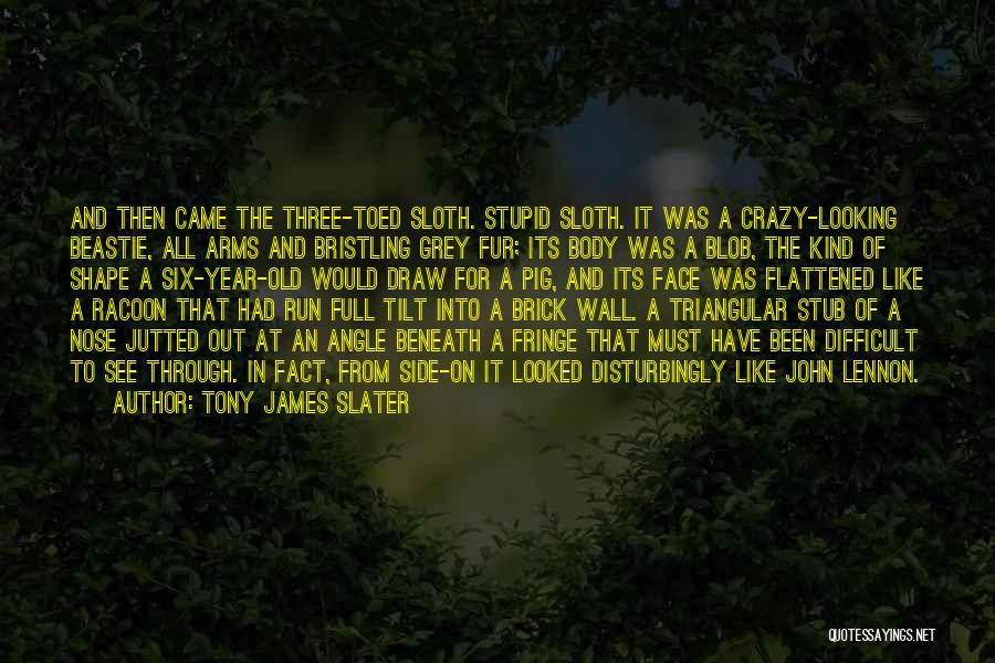 Crazy Off The Wall Quotes By Tony James Slater