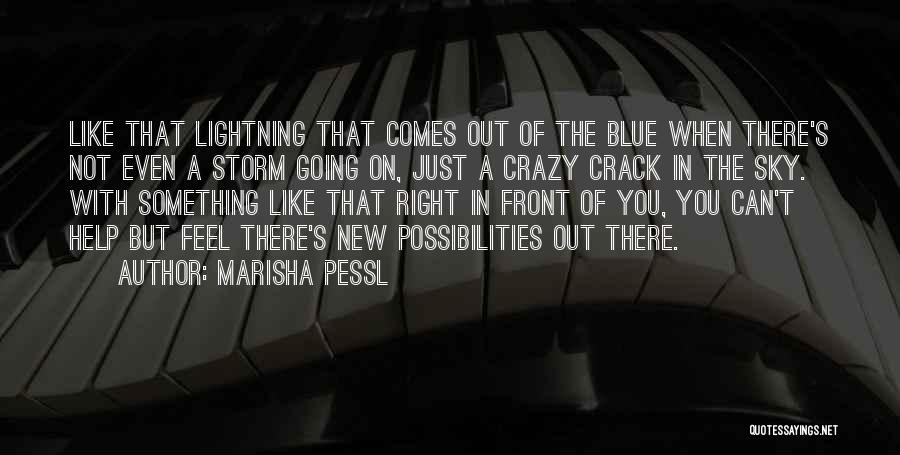 Crazy On You Quotes By Marisha Pessl