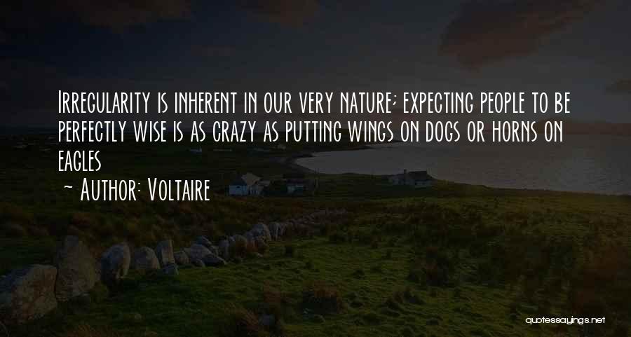 Crazy People Quotes By Voltaire