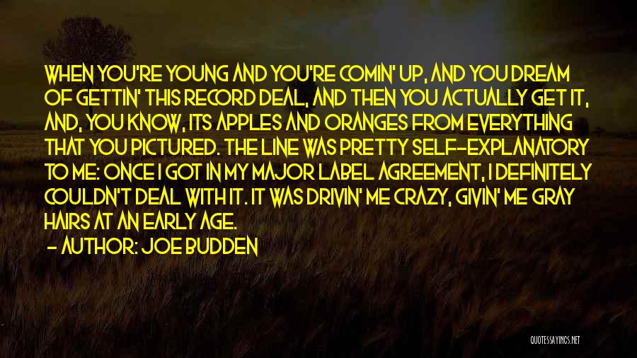 Crazy Young Quotes By Joe Budden