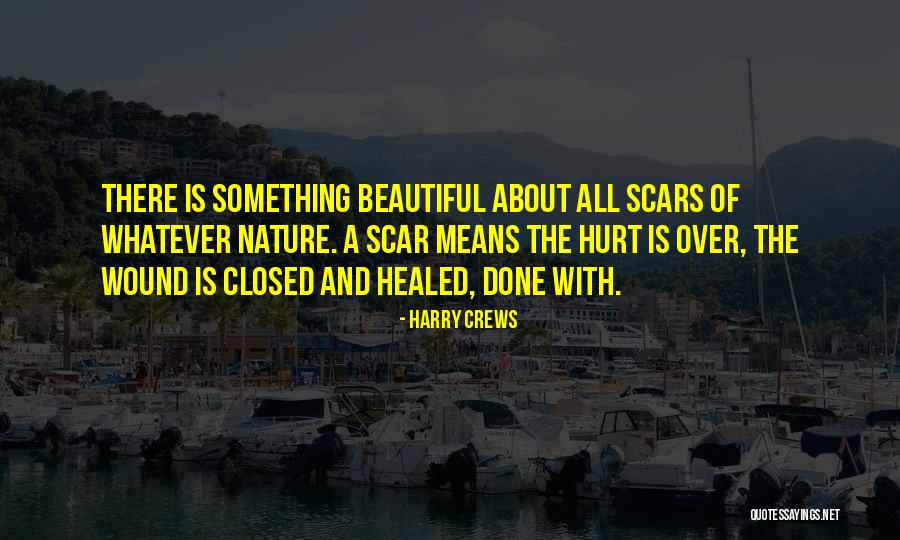 Creadores De Roblox Quotes By Harry Crews Creadores De Roblox Quotes By Harry Crews