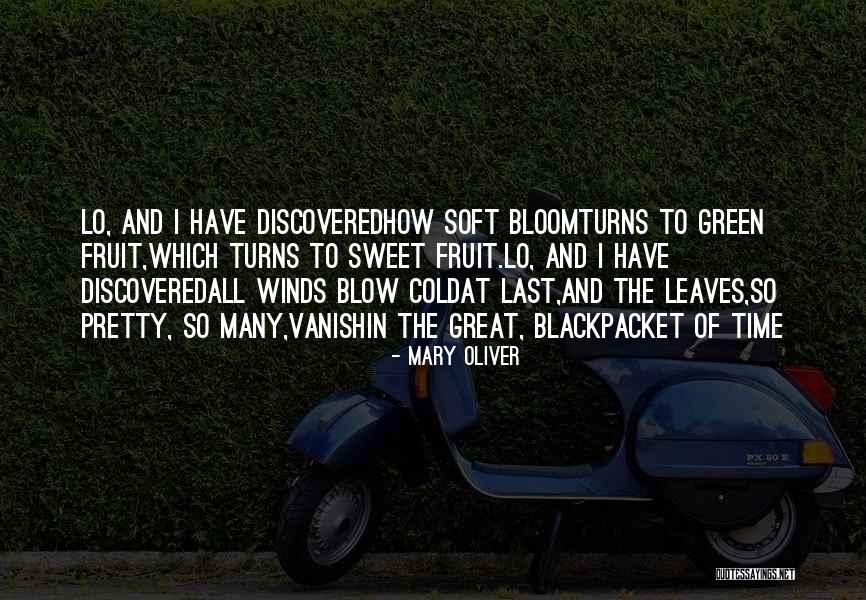 Creat Quotes By Mary Oliver Creat Quotes By Mary Oliver