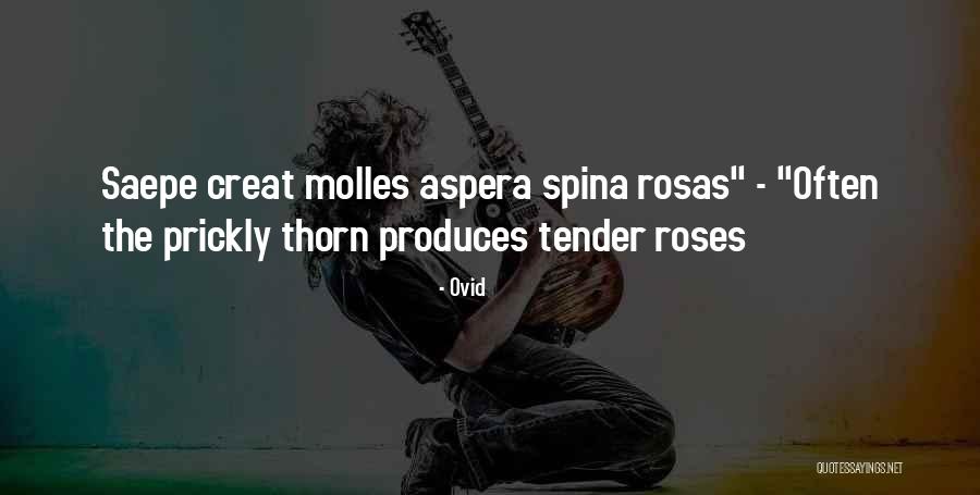 Creat Quotes By Ovid Creat Quotes By Ovid