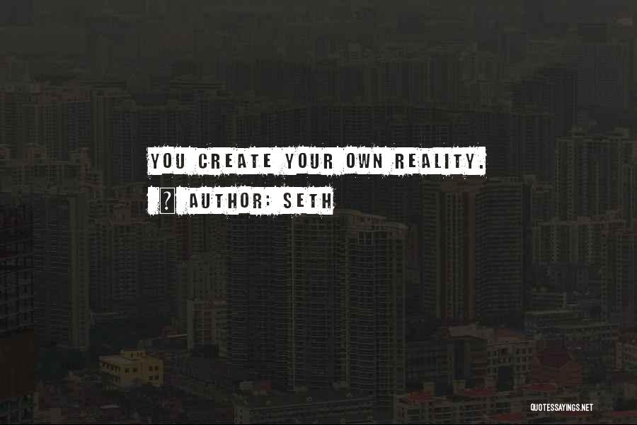 Create Your Own Reality Quotes By Seth