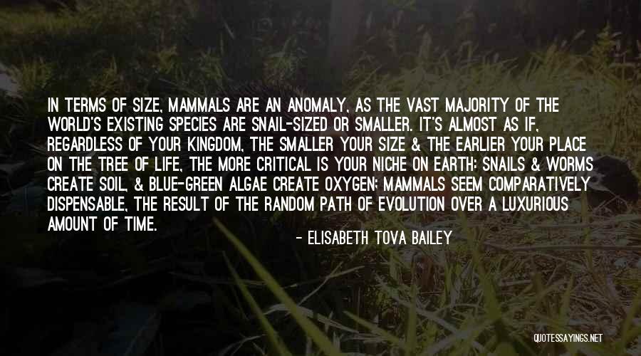 Create Your Path Quotes By Elisabeth Tova Bailey Create Your Path Quotes By Elisabeth Tova Bailey