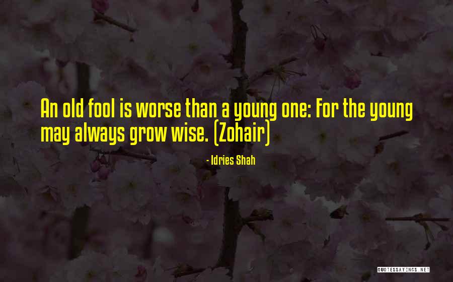 Createurs Quotes By Idries Shah Createurs Quotes By Idries Shah