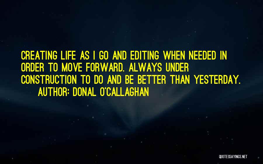 Creating A Better Life Quotes By Donal O'Callaghan