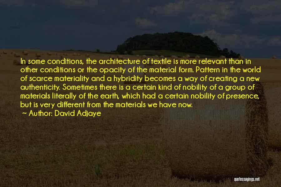 Creating A New World Quotes By David Adjaye