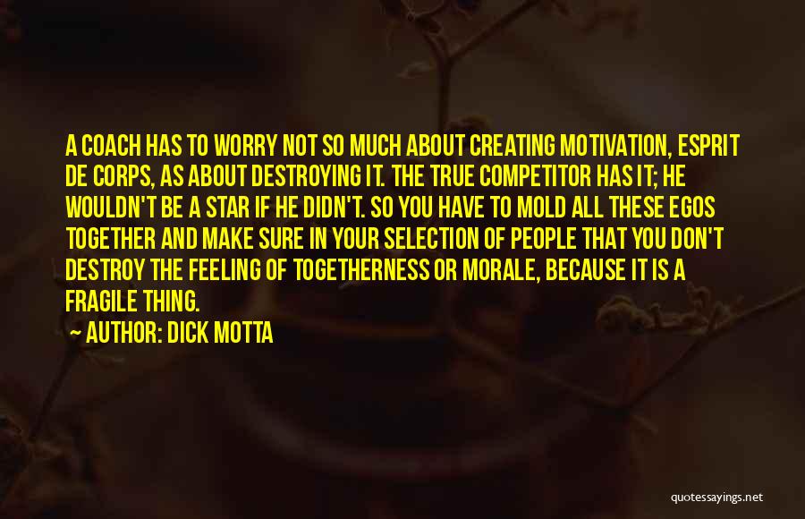 Creating And Destroying Quotes By Dick Motta