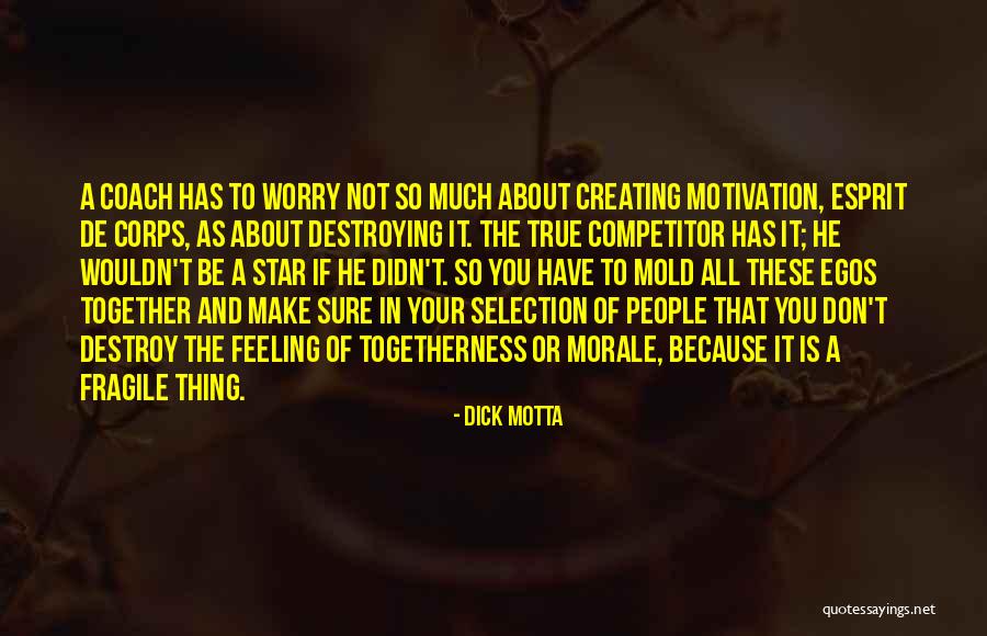 Creating And Destroying Quotes By Dick Motta