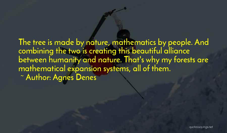 Creating Beautiful Things Quotes By Agnes Denes