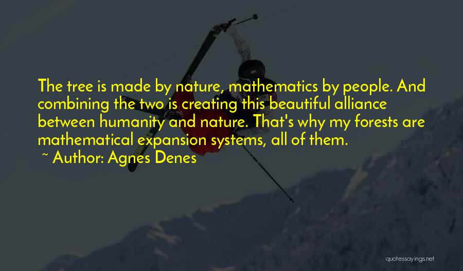 Creating Something Beautiful Quotes By Agnes Denes