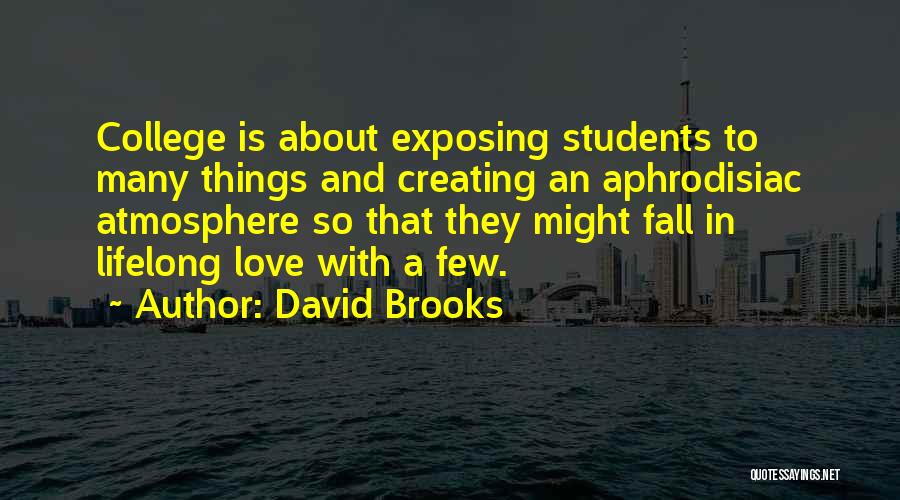 Creating Things Quotes By David Brooks