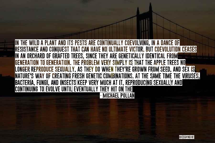 Creating Time Quotes By Michael Pollan Creating Time Quotes By Michael Pollan